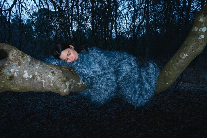 A picture of the artist Rachel Lyn in a blue fur suit, asleep on a horizontal tree branch.