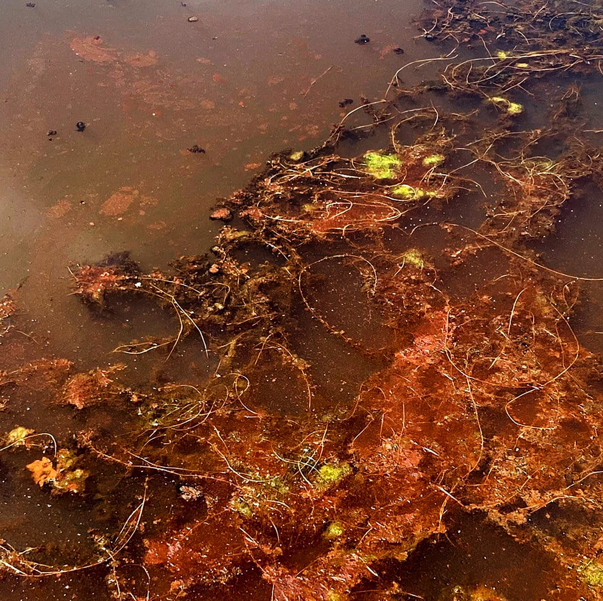 Review: [something's happening] – Buzz