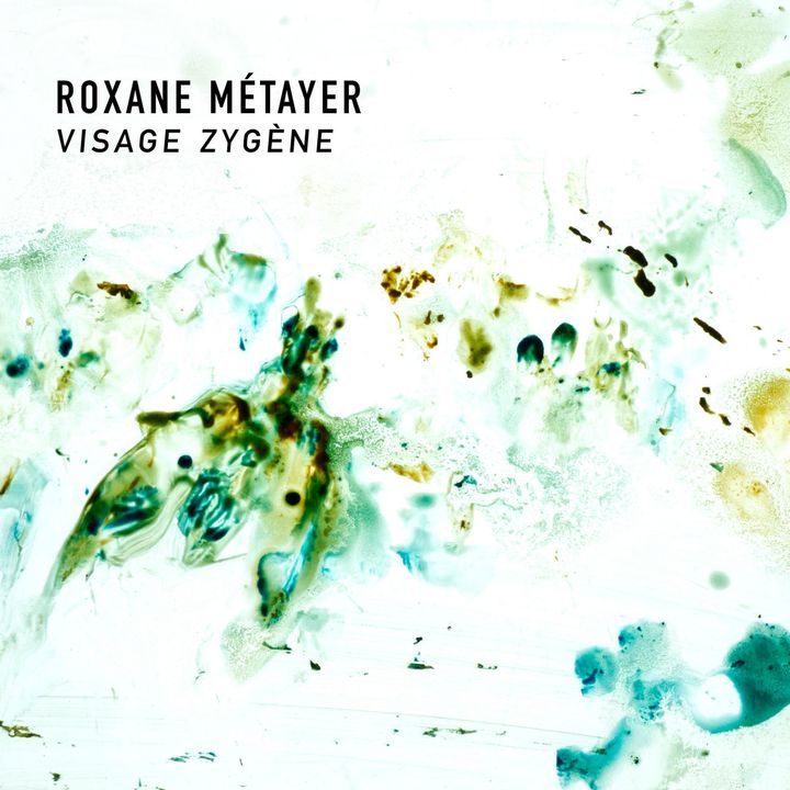 Review: Roxane Métayer –  Visage Zygène